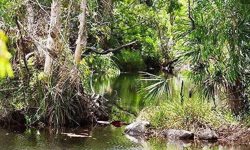 Rainforest Ranch Byfield Θέρετρο